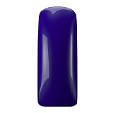 ג'ל לק Royal Blue gel polish ג'ל לק Royal Blue gel polish