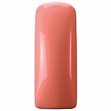 �'� �� GP Living Coral