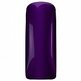 �'� �� GP Purple beatle