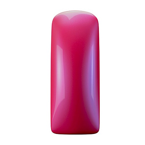 �� �� ������� GP JOLLY 