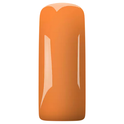 AVA APRICOT