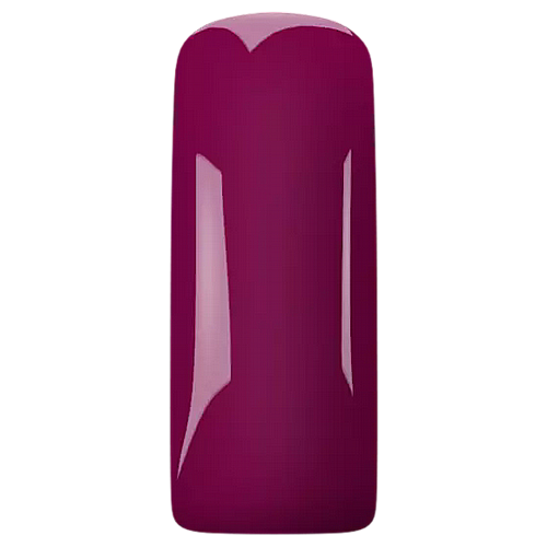 �� �� PINK TULIP