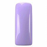 GP LAVENDER GP LAVENDER