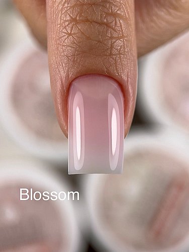 �� ���� ����� ����� Liquid Builder Gel Blossom 30 ml