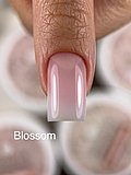 �'� ���� ����� ����� Liquid Builder Gel Blossom 30 ml