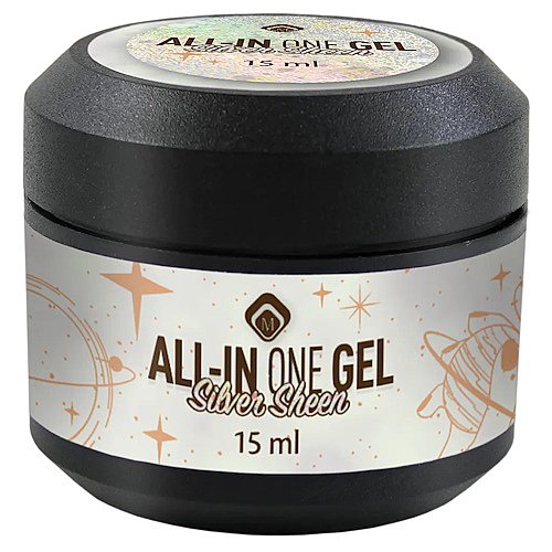 �� ���� ������ ALL IN ONE SILVER SHEEN 15ML
