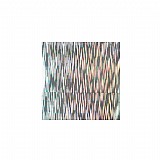 ���� ���� �������� - Holo Silver Strip