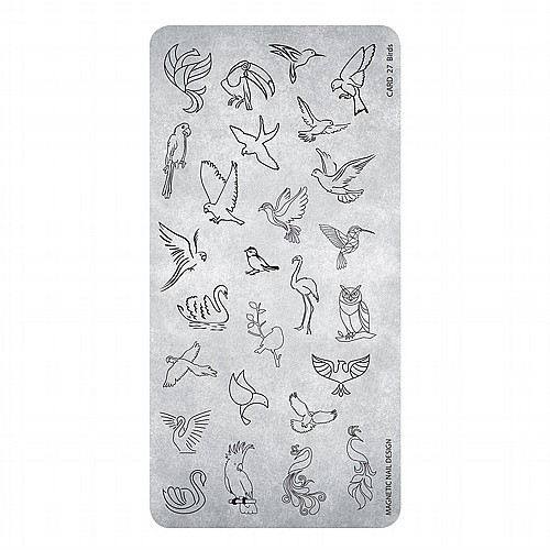 ���� ������ - BIRDS
