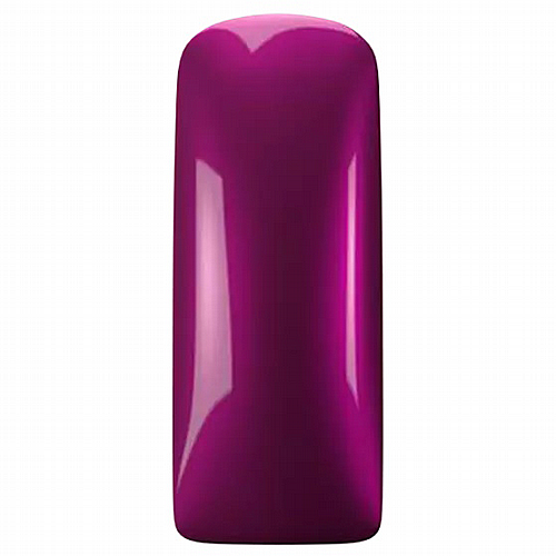 �� ���� PURPLE RAIN