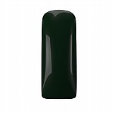 �� ���� LL Rainforest