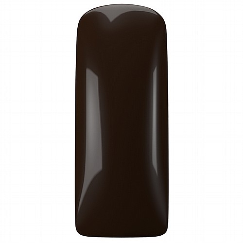 �� ���� LL Midnight Brown