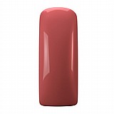 �� ���� LL Clay Red 