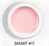 �'� ���� ������ DARK SMART GEL 17 ����� 30 ��