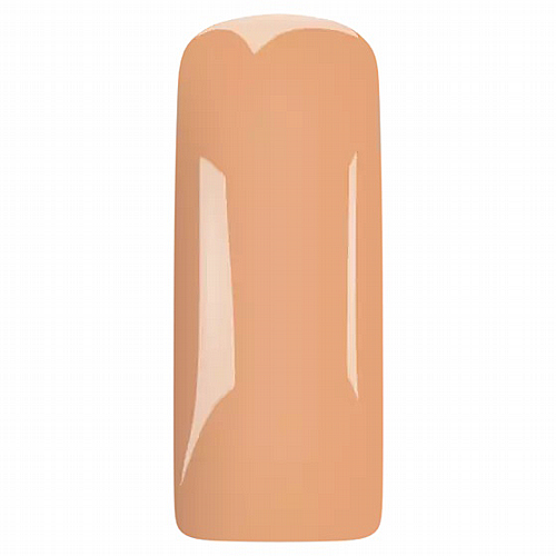 �� ������ BLUSH CHAI LATTE
