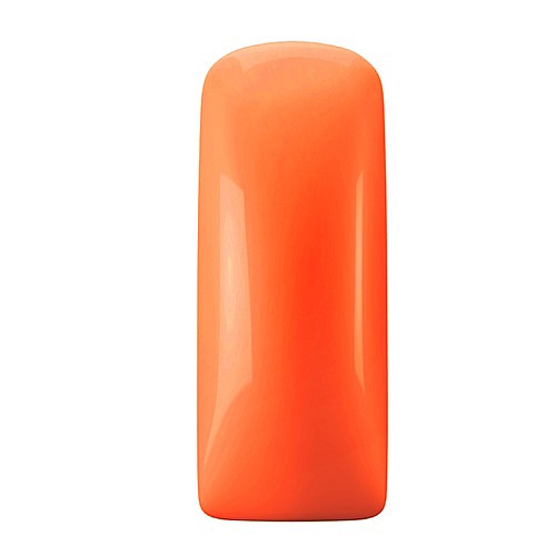 �� ���� ������ Blush Neon Orange