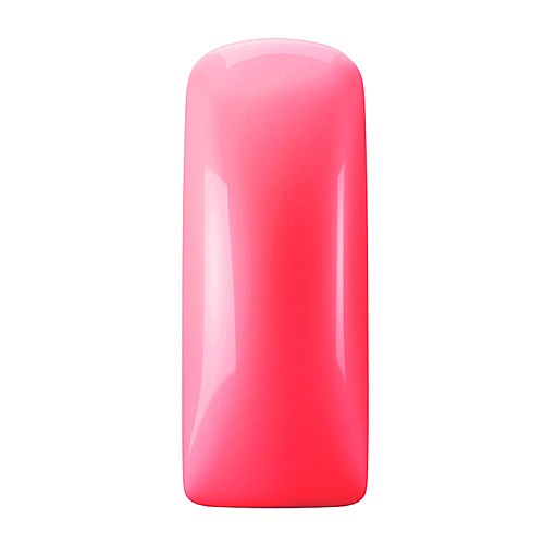 �� ���� ������ Blush Neon Coral