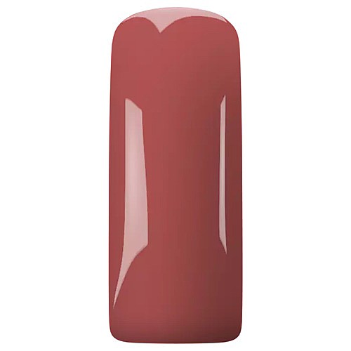 ���� ������ BLUSH PLUM BLOSSOM
