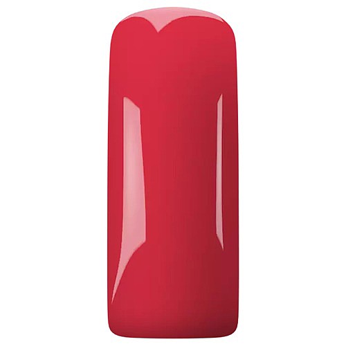 ������ BLUSH DAHLIA