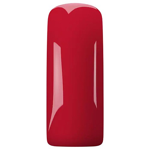 ������ BLUSH ROSE