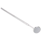 ���� ������� ������ �����