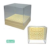 ���� ���� ����� ���� - Big Block for Burs