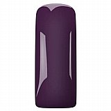 �'� �� GP PURPLE2