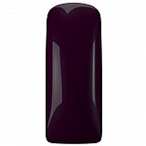 GP Purple Seduction